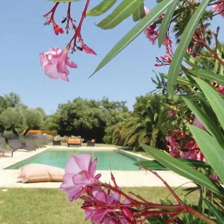 Prázdninový dům Holiday Ix